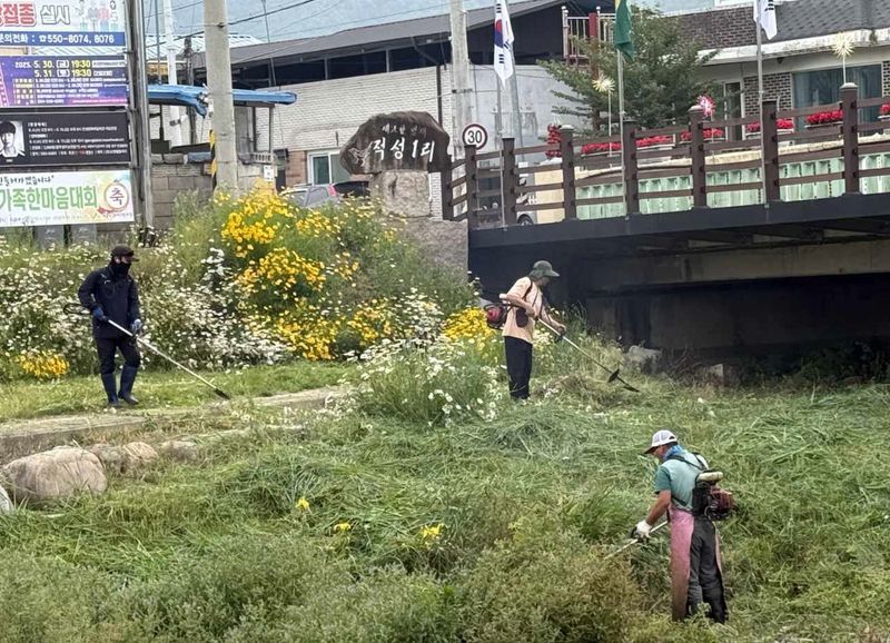 동로면 농업경영인회 금천도로변 풀 베고 환경정비