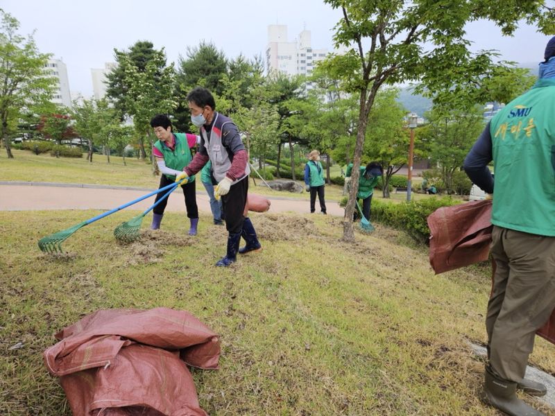점촌5동 새마을회, 모전공원 풀 베