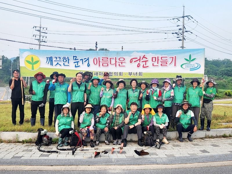 영순면새마을회, 도로변 풀 베고 환경정비