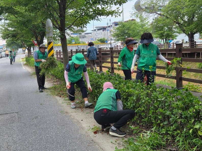 점촌1동 새마을회, 모전천 일대 환경정비