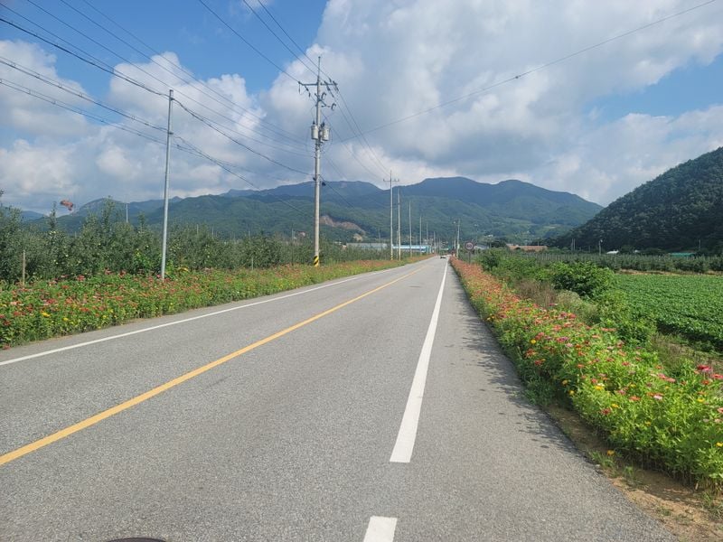 동로면 새마을회, 백일홍 꽃길 2km 조성