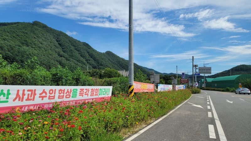 농촌 정취 더하는 문경 동로 ‘백일홍 거리’