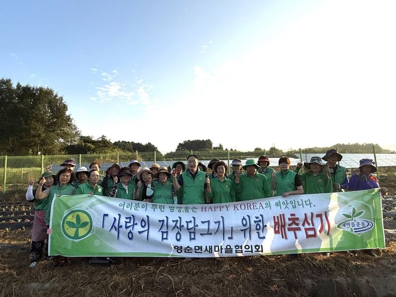 영순면 새마을회, 사랑의 배추·무 모종 심어