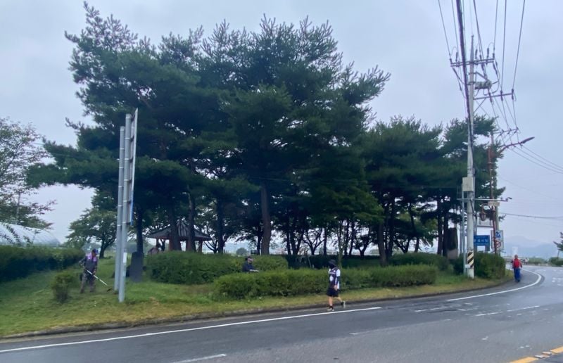 영순면 농촌지도자회, 추석맞이 제초-환경정비