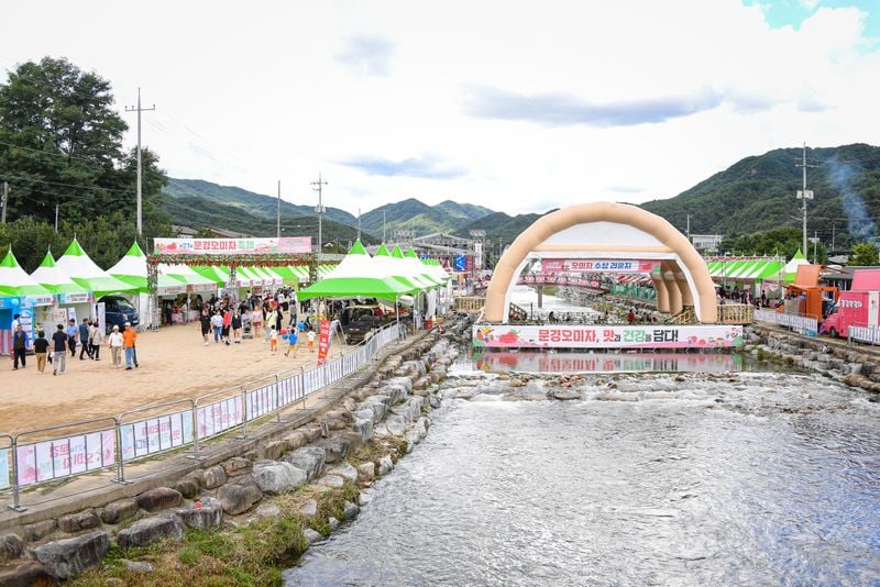 제21회 문경오미자축제 성황리 폐막