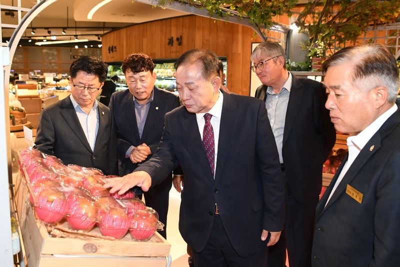 문경 프리미엄 감홍사과, 현대백화점 판교점 론칭