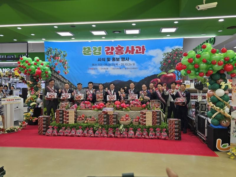 문경감홍사과, ‘농협 양재점’서 4일간 4억 매출