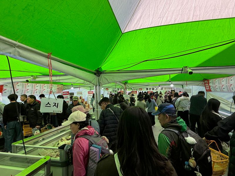 문경약돌한우축제, 3일간 13만 명 몰려 150마리 완판