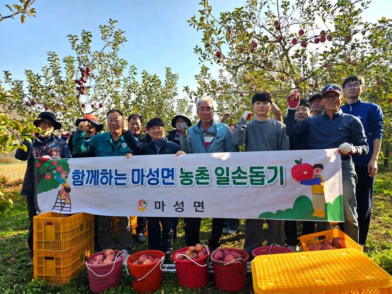 문경시 공무원들, 마성면 과수농가 일손 돕기 나서