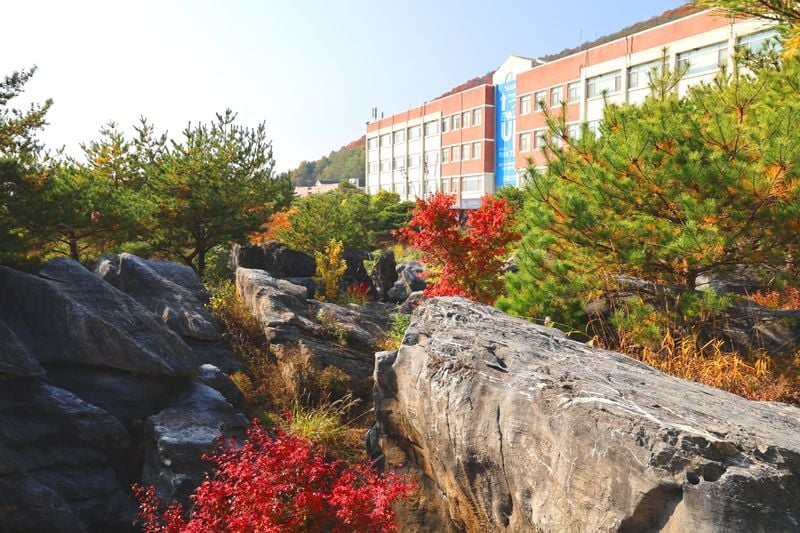 문경대학교 캠퍼스, 가을빛으로 물들다