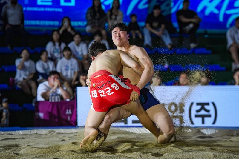 문경오미자 장사씨름대회 16일 개막