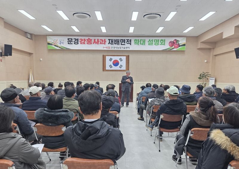 문경감홍사과 재배면적 2028년까지 800ha 확대