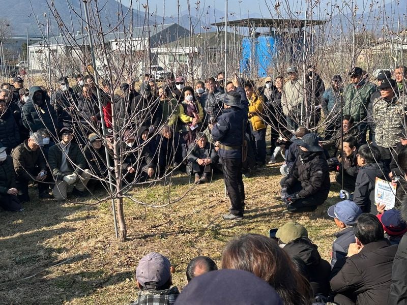 문경시, 일본 사과 전문가 초청 선진 재배기술 교육