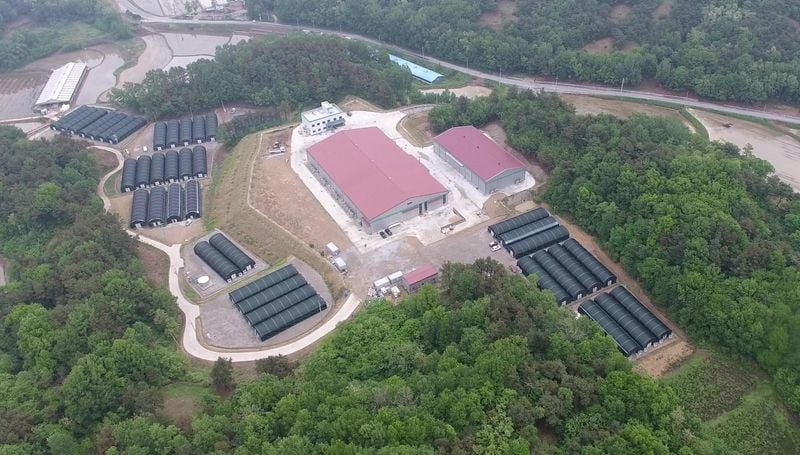 문경시, 표고버섯으로 청년일자리·귀농정착·산림자원 개발 ‘일석삼조’