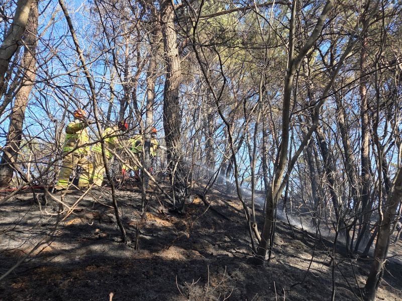 설날, 문경시 농암면 산불