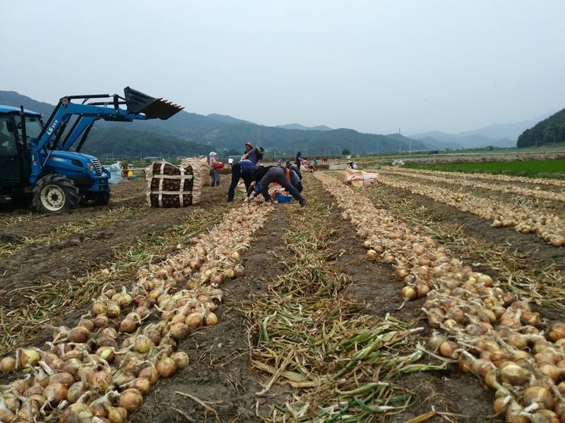 문경시, 농업인안전보험ㆍ농기계종합보험 보험료 5% 추가 지원