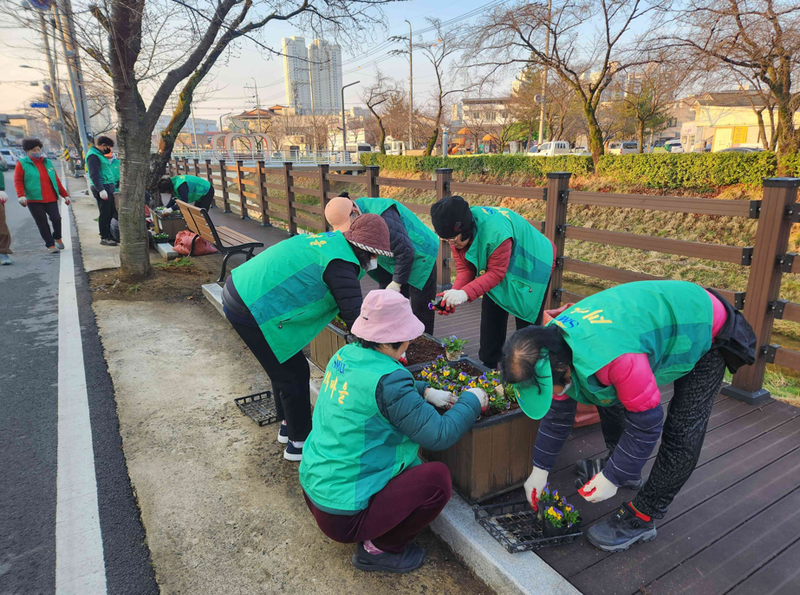 점촌2동 새마을회, 모전천에 봄꽃 심어