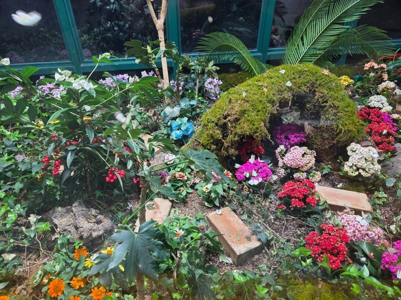 문경자연생태박물관, 나비특별전 운영… 봄 앞당긴 생태 체험 눈길