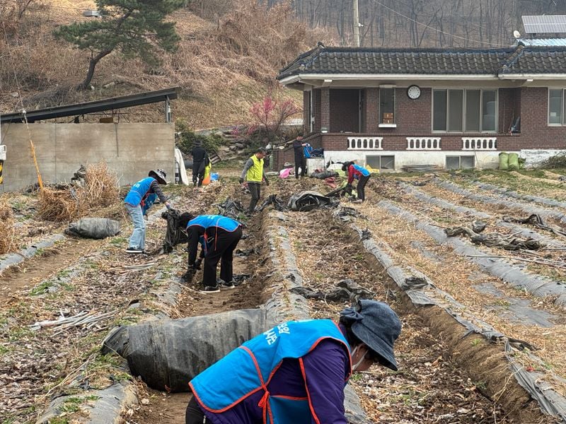 농협 문경시지부·동문경농협, 영농폐기물 수거캠페인 벌여