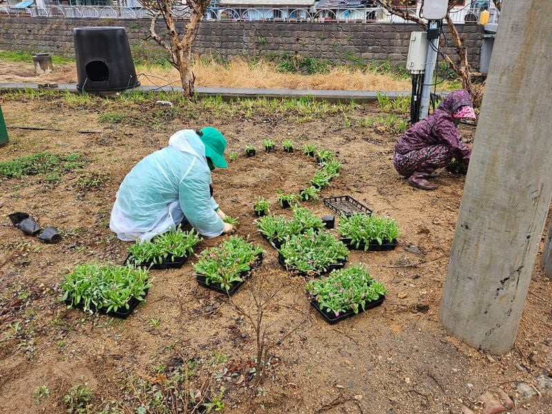 농암면 새마을회, 아름다운 농암면 만들기에 구슬땀