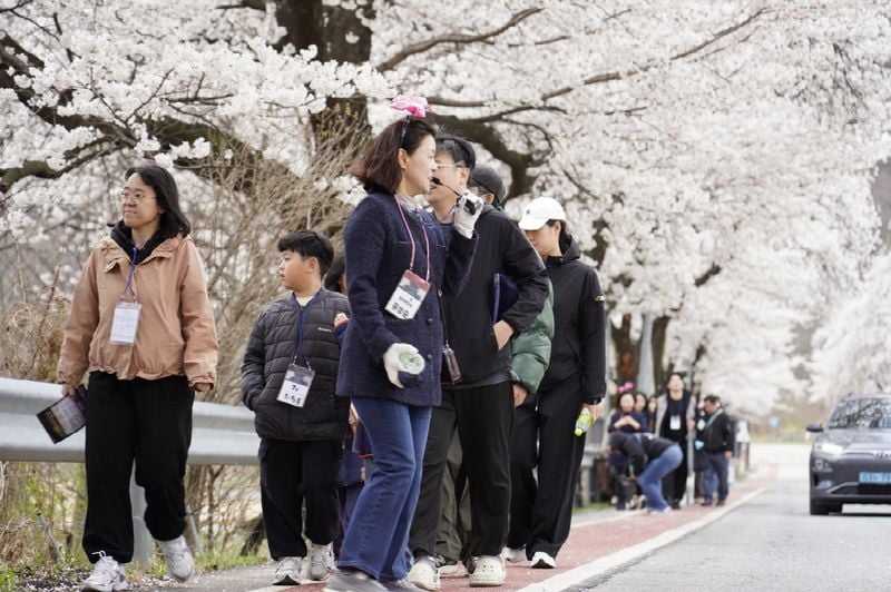 올해 문경달빛사랑여행 첫 번째, 고모산성 야행 성황