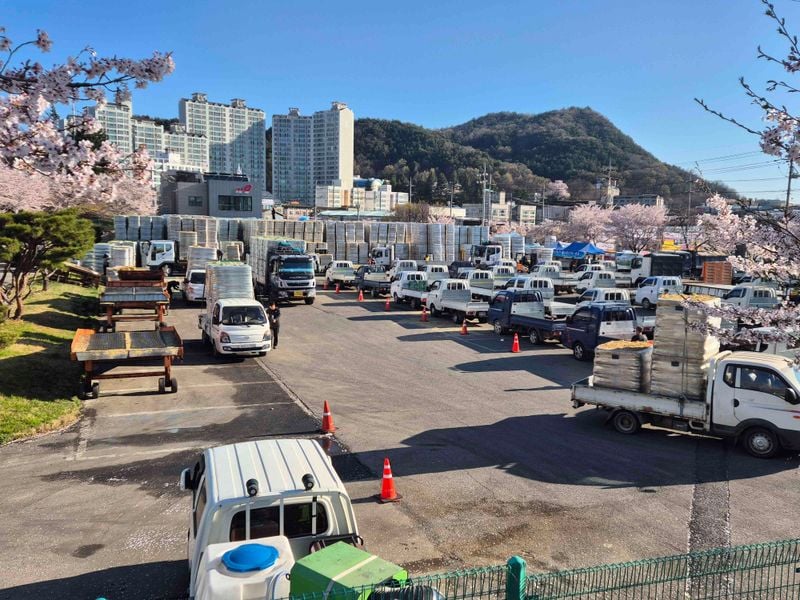문경시, 상반기 축산농가에 20억 원 상당 풀 사료 공급