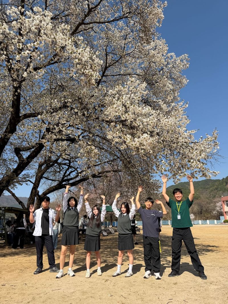 문경 동로중학교, ‘벚꽃 핀 데이’ 개최