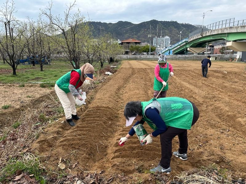 점촌3동 새마을회, 사랑의 열무 심어