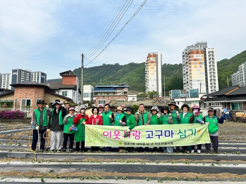 점촌3동 새마을회, 사랑의 고구마 심어