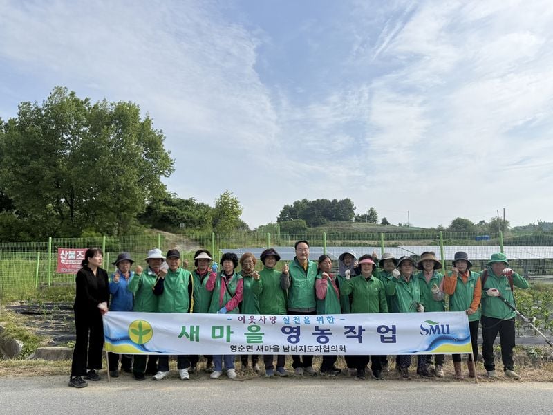 영순면 새마을회, 사랑의 옥수수 밭 김매기 나서