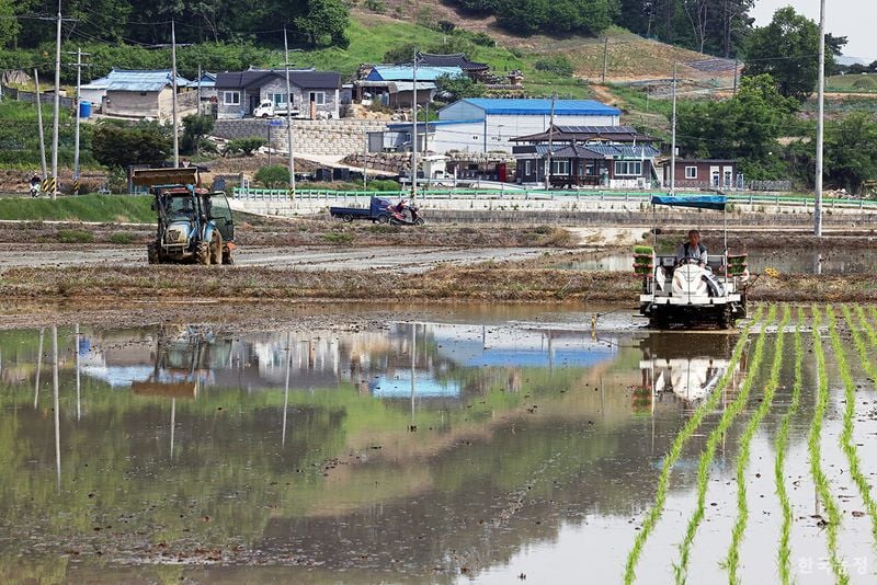 문경시, 벼 재배 농가에 육묘대 52억 원 지원