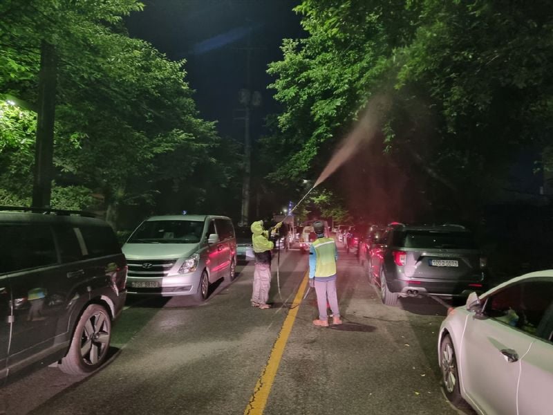 문경시, 미국흰불나방 등 가로수 돌발해충 집중 방제 나서