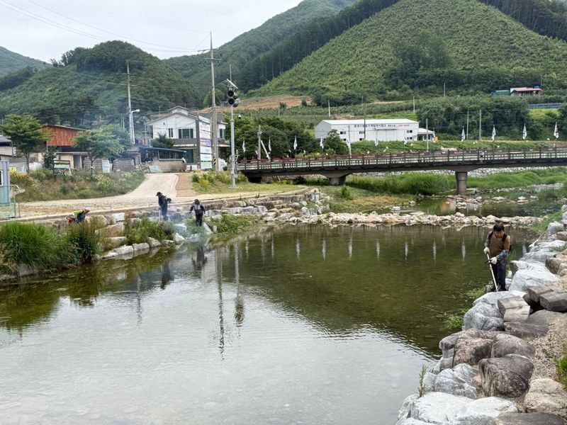 동로면 농업경영인회 금천도로변 제초작업 실시