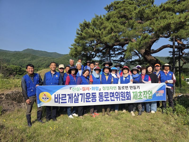 동로면 바르게, 주요 도로변 환경정비
