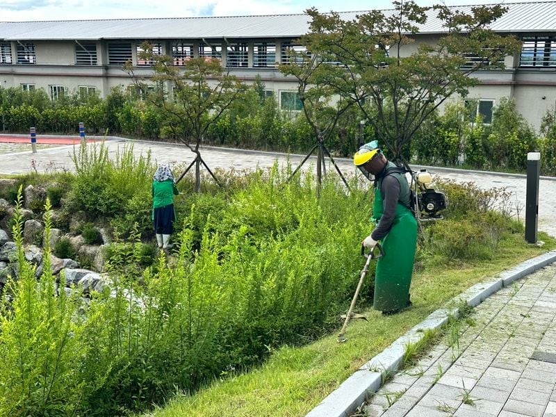 점촌3동 새마을회, 흥덕생활공원 풀 베