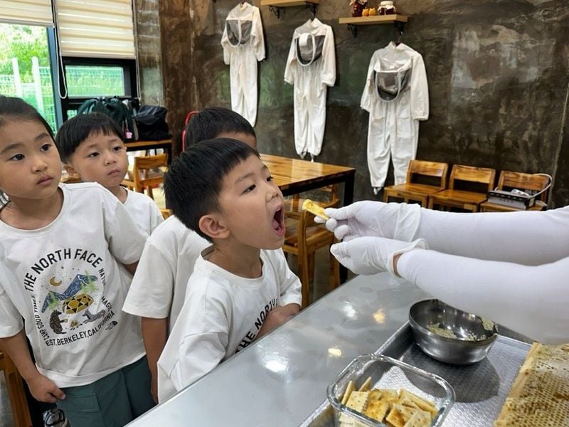 영순초병설유치원, 창의융합에듀파크 연계 현장체험학습 가져