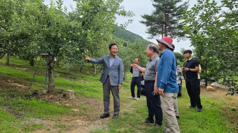 김학홍 문경시장 당선인, 민생 현장 속으로… 산북면 사과농가 찾아 소통