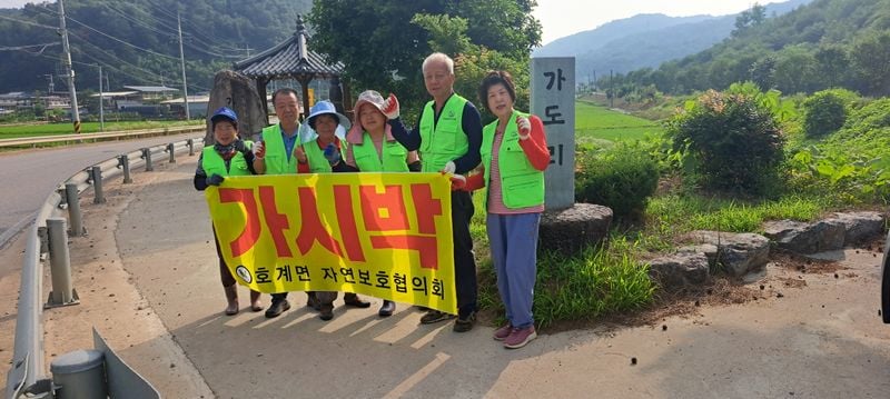 호계면 자연보호협의회, 가시박 제거로 환경 사랑 실천해