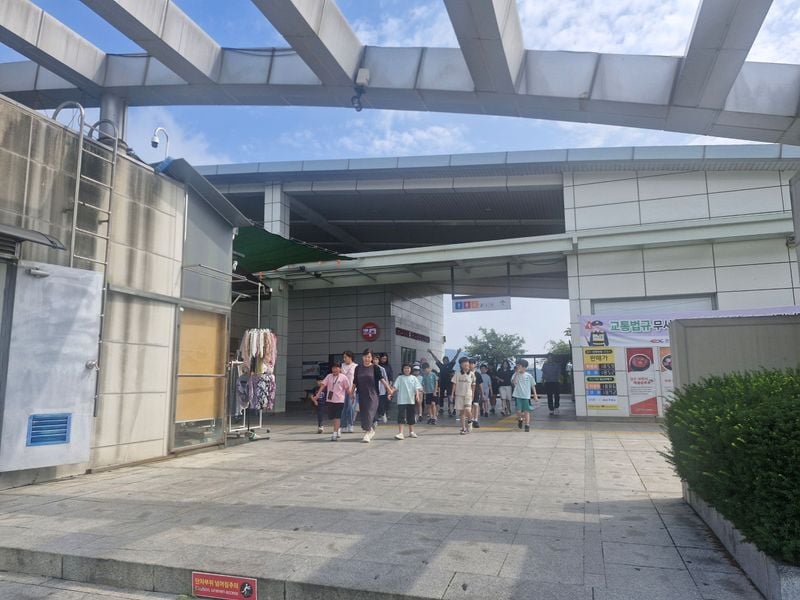 영순초등학교, 전교생 물놀이 체험학습