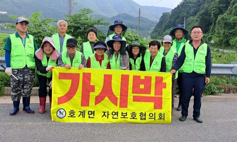 문경시 호계면 자연보호협의회 가시박 제거에 구슬땀