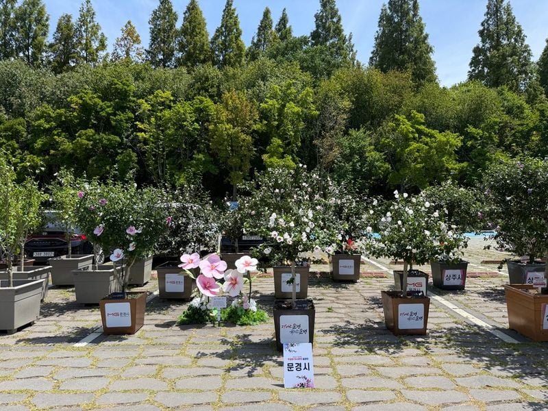 장우관 예비역 중령, 무궁화로 피워낸 나라사랑…문경시 금상 수상의 숨은 주역