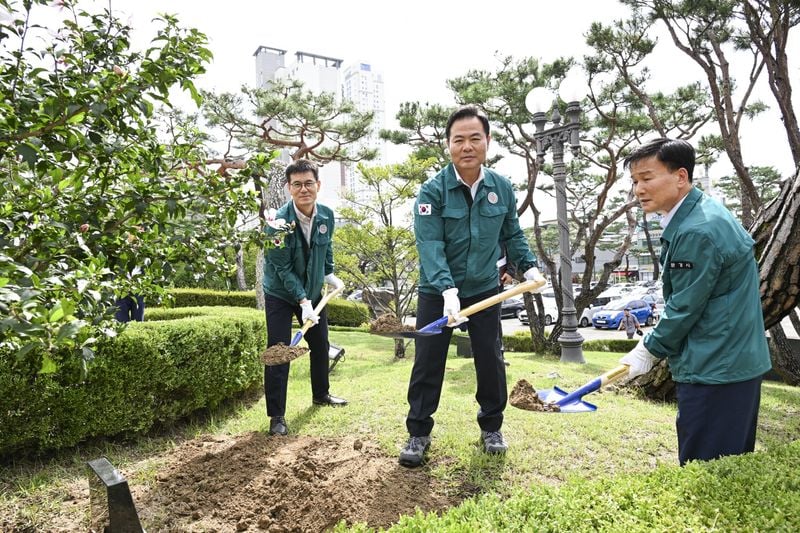 문경시, 경북 무궁화 우수 분화 품평회 ‘금상’ 수상작 ‘별이’ 기념식수