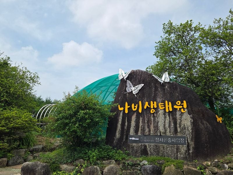 문경 바로 이웃 상주 함창서 ‘1천 마리 나비의 향연’