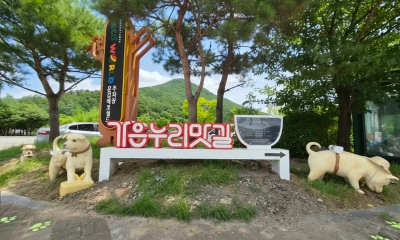 문경시, ‘가은누리맛길’ 조성
