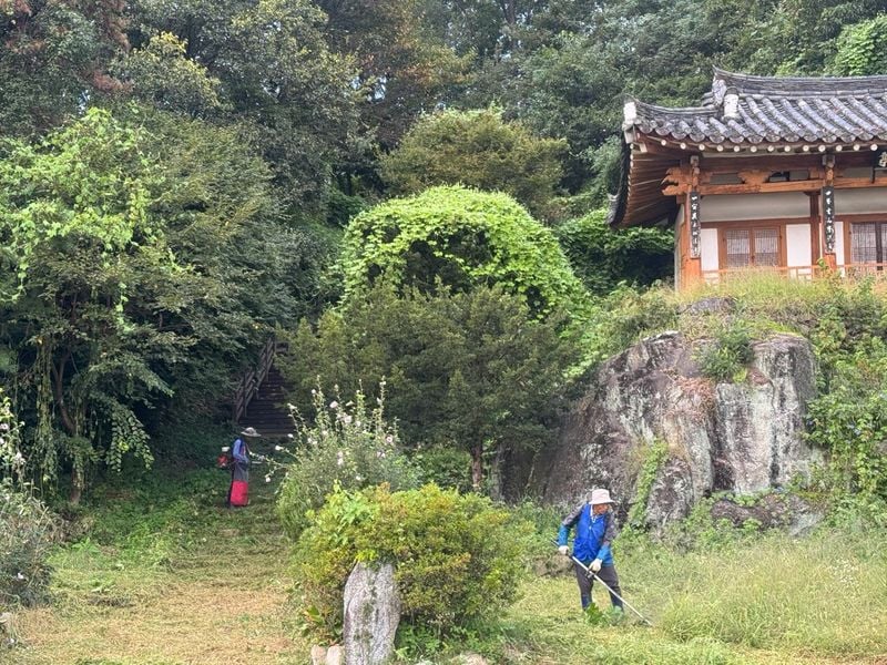 산양면 바르게, 추석맞이 제초하고, 환경 정화
