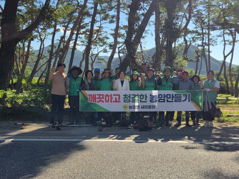 농암면 새마을회, 대정숲·청화분교 환경 정화