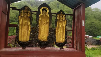 움직이는 불상, “안내표지판 세워주세요”