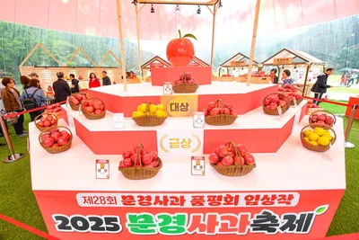 문경 감홍사과, 현대·신세계·갤러리아 등 주요 백화점 본격 진출