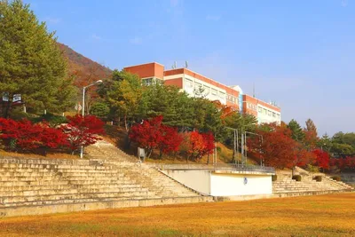 문경대학교 캠퍼스, 가을빛으로 물들다