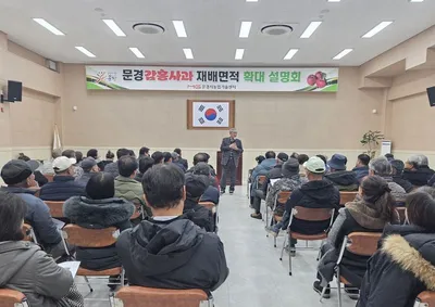 문경감홍사과 재배면적 2028년까지 800ha 확대